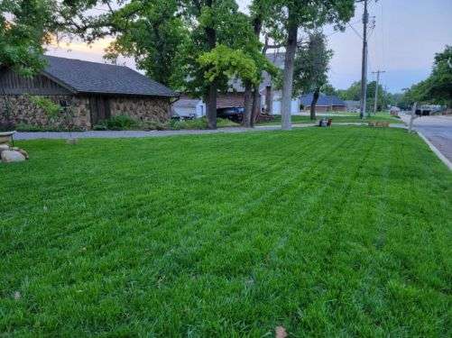 Lawn-example-photo