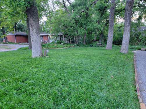 Lawn-example-photo